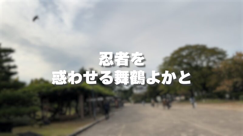【Vlog】名古屋城行ってきたばい！！